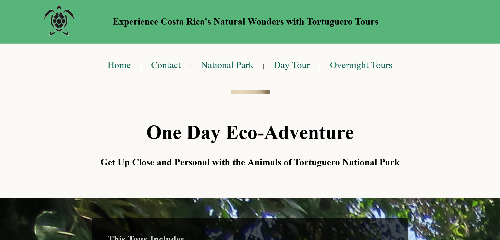 tour website and video